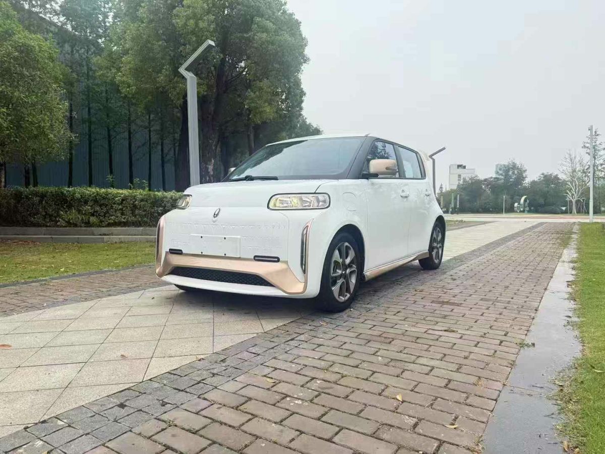 歐拉 歐拉黑貓  2021款 2021款 301km 基礎型圖片