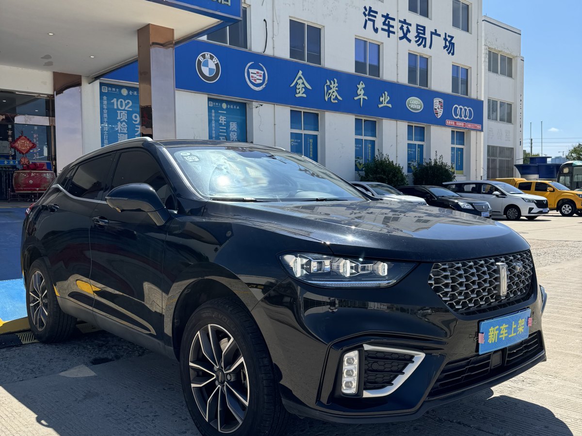 WEY VV5  2021款 1.5T 兩驅元氣橙版圖片