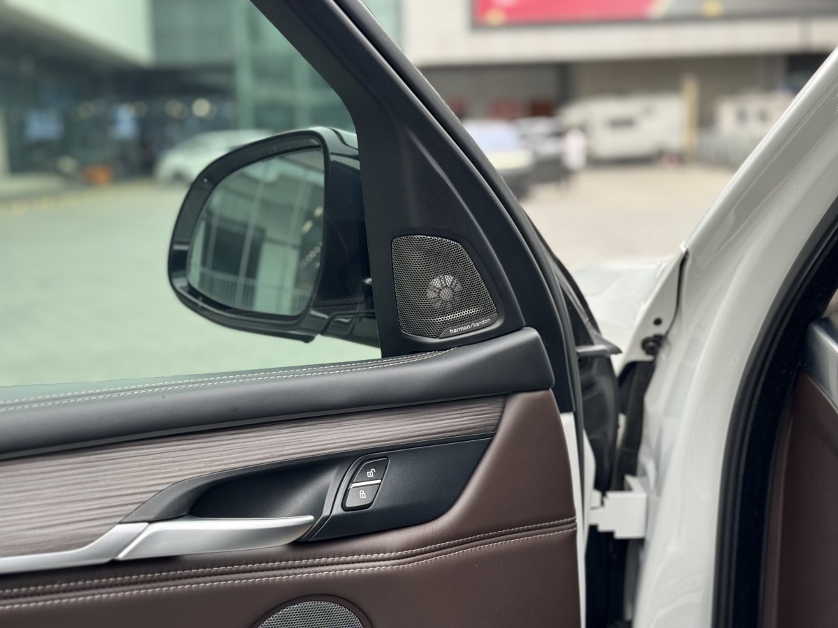 宝马 宝马X5  2018款 xDrive35i 尊享型图片
