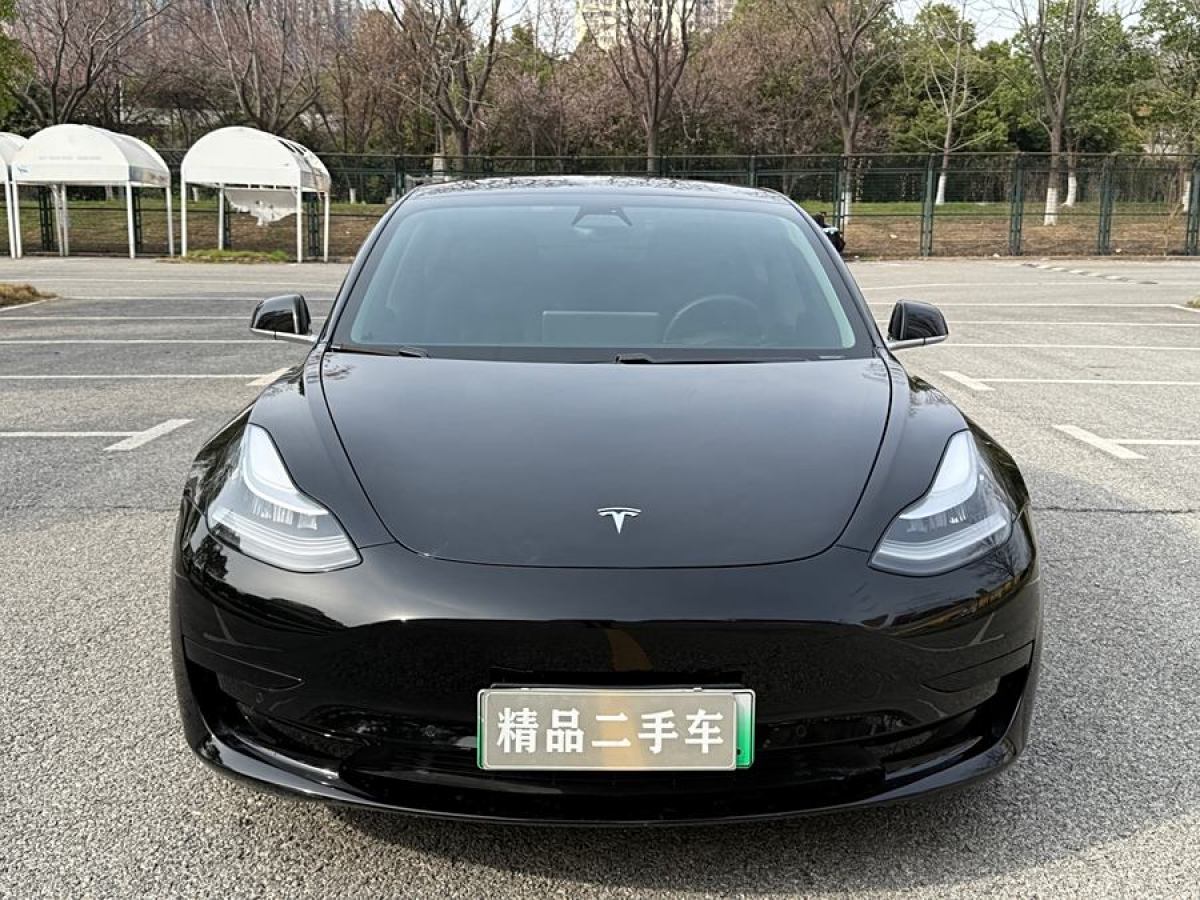 2020年10月特斯拉 Model 3  2020款 改款 標(biāo)準(zhǔn)續(xù)航后驅(qū)升級(jí)版