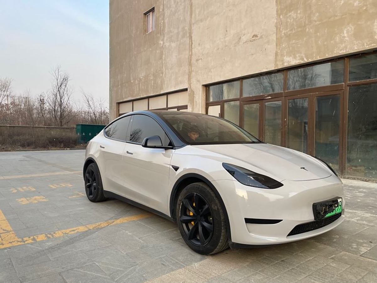 特斯拉 Model 3  2020款 改款 長續(xù)航后輪驅(qū)動版圖片