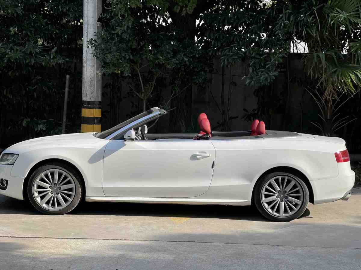 奧迪 奧迪A5  2010款 2.0TFSI Cabriolet圖片