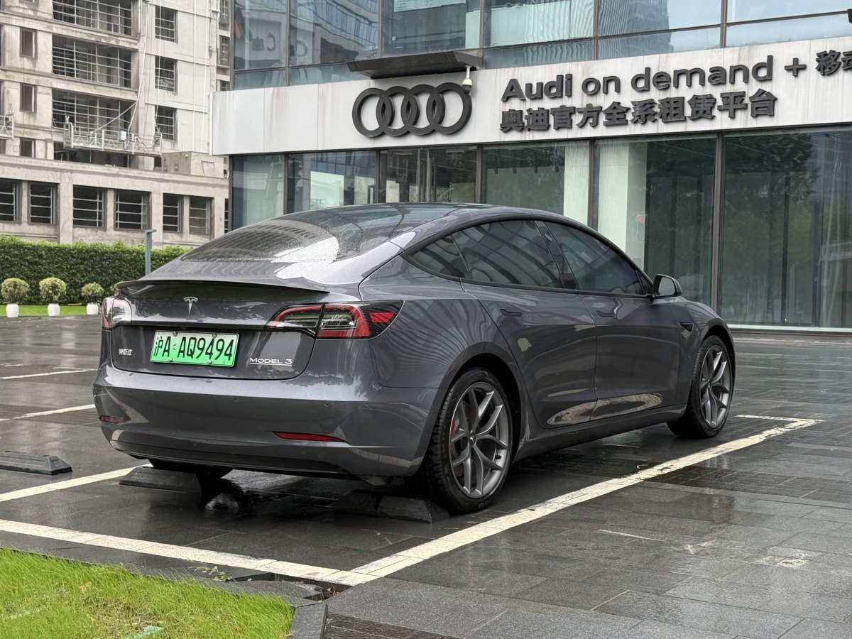 特斯拉 Model 3  2019款 Performance高性能全輪驅(qū)動(dòng)版圖片