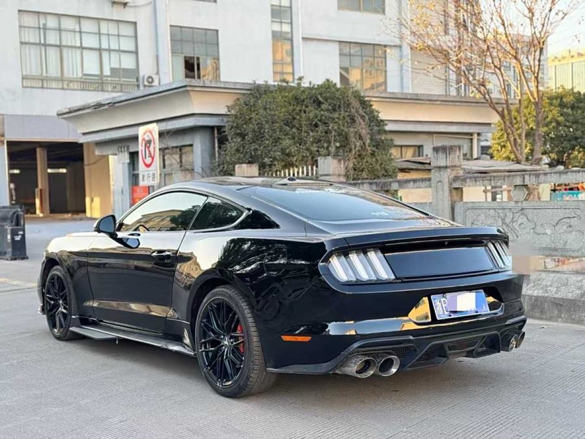 福特 Mustang  2015款 2.3T 性能版圖片