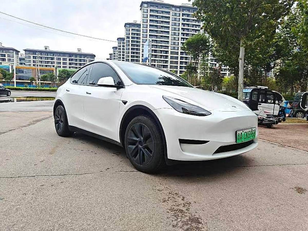 特斯拉 Model 3  2022款 后輪驅(qū)動(dòng)版圖片