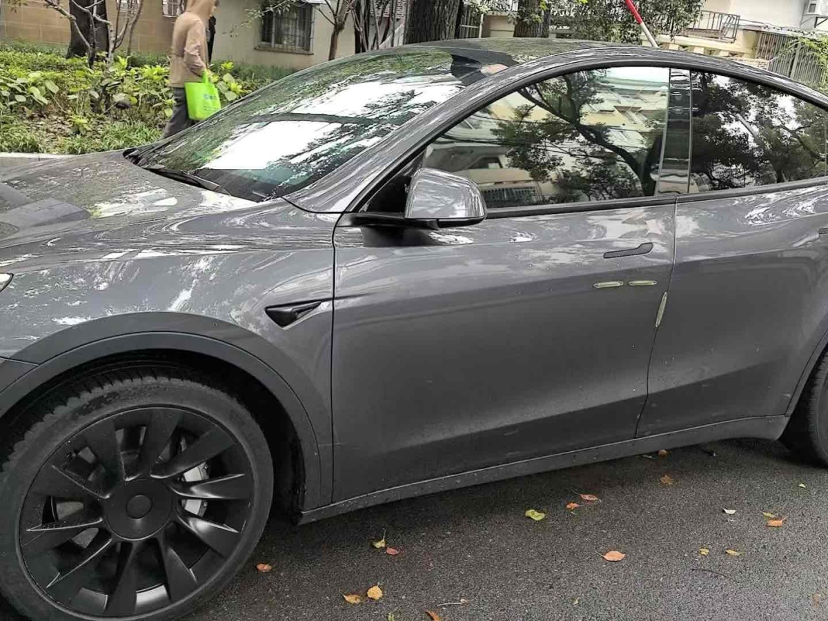 特斯拉 Model Y  2021款 長續(xù)航全輪驅(qū)動版 3D7圖片