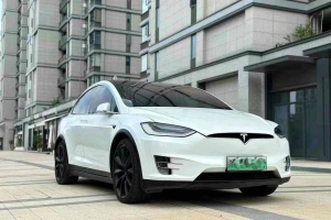 2017年5月特斯拉 Model X  Model X 75D