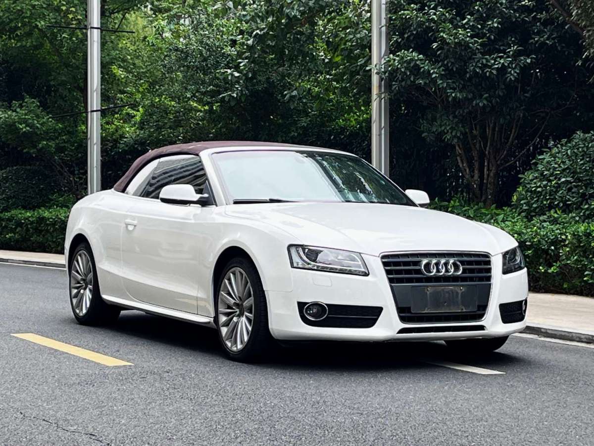 奧迪 奧迪A5  2010款 2.0TFSI Cabriolet圖片