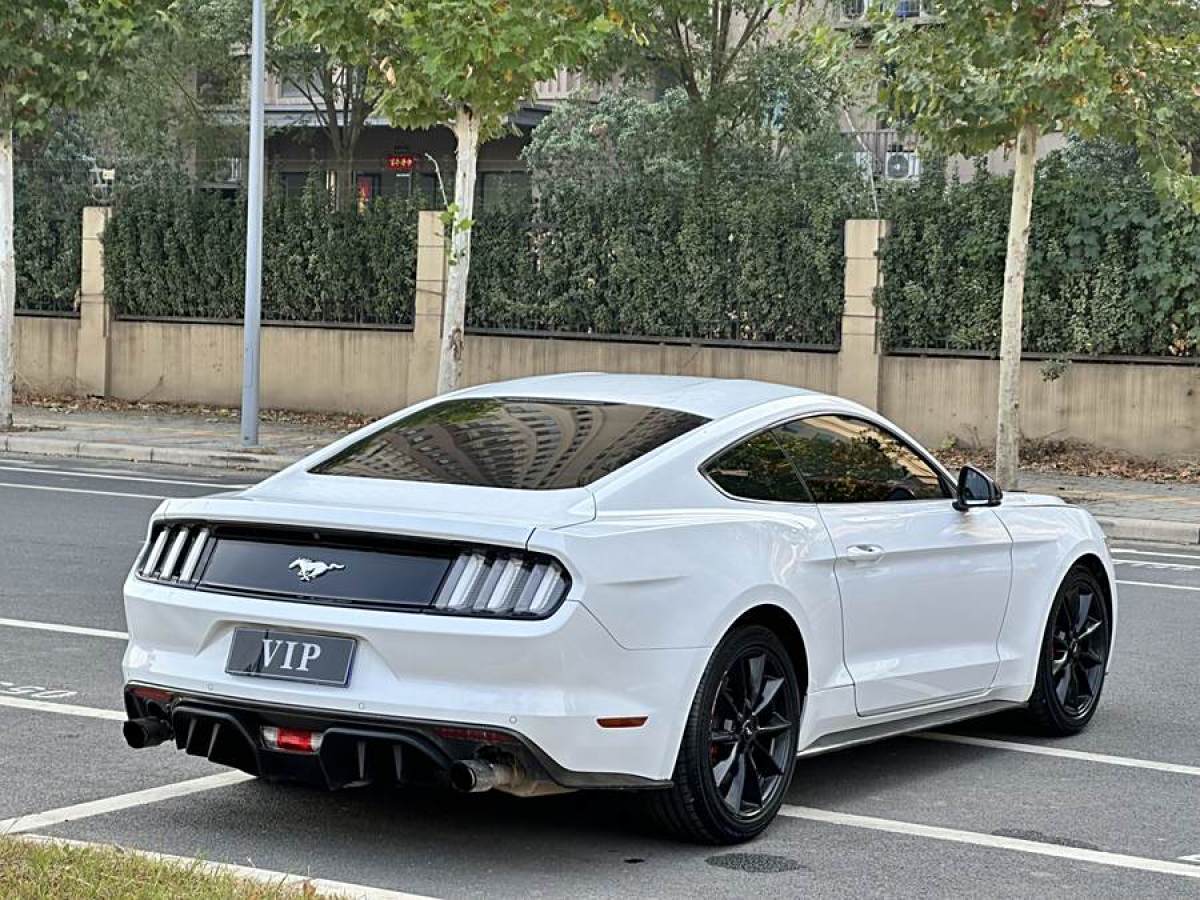 福特 Mustang  2015款 2.3T 運動版圖片