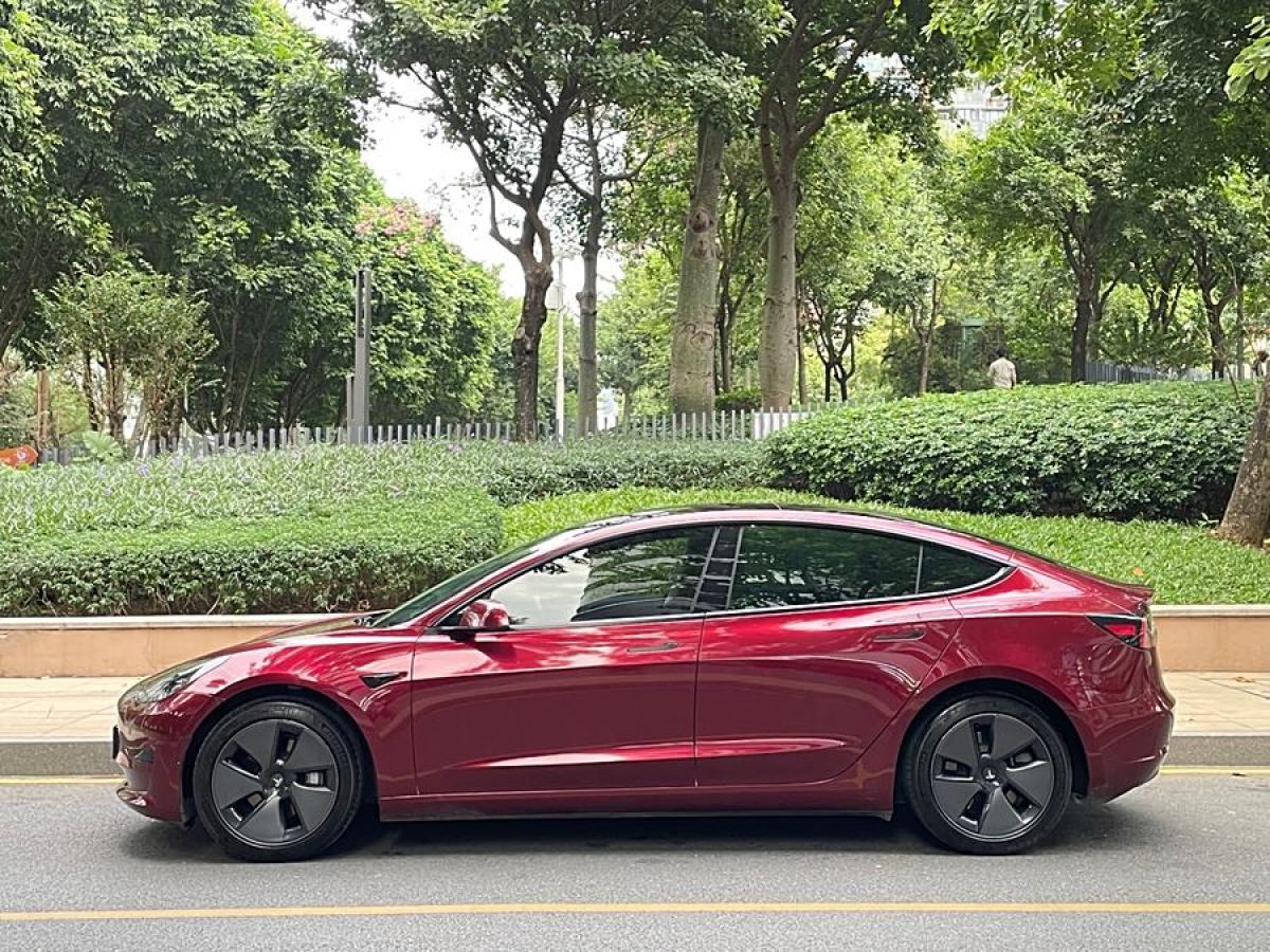 特斯拉 Model 3  2021款 改款 標(biāo)準(zhǔn)續(xù)航后驅(qū)升級(jí)版圖片