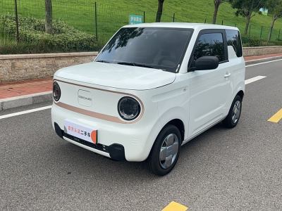 2023年11月 吉利 熊猫mini 200km 耐力熊图片