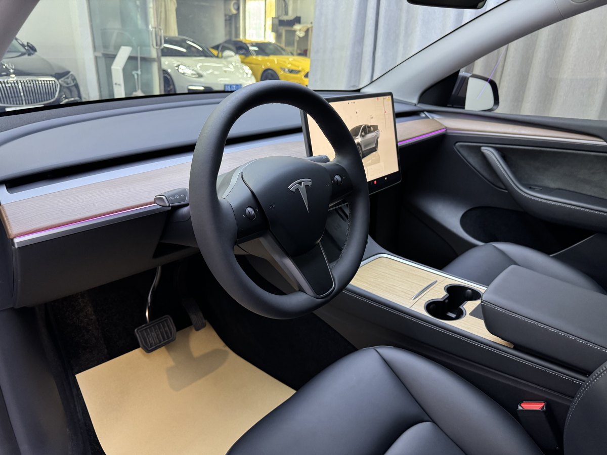 特斯拉 Model Y  2020款 改款 長續(xù)航后輪驅(qū)動版圖片