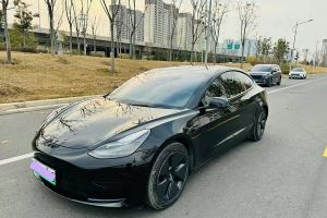 Model 3 特斯拉 改款 標(biāo)準(zhǔn)續(xù)航后驅(qū)升級版