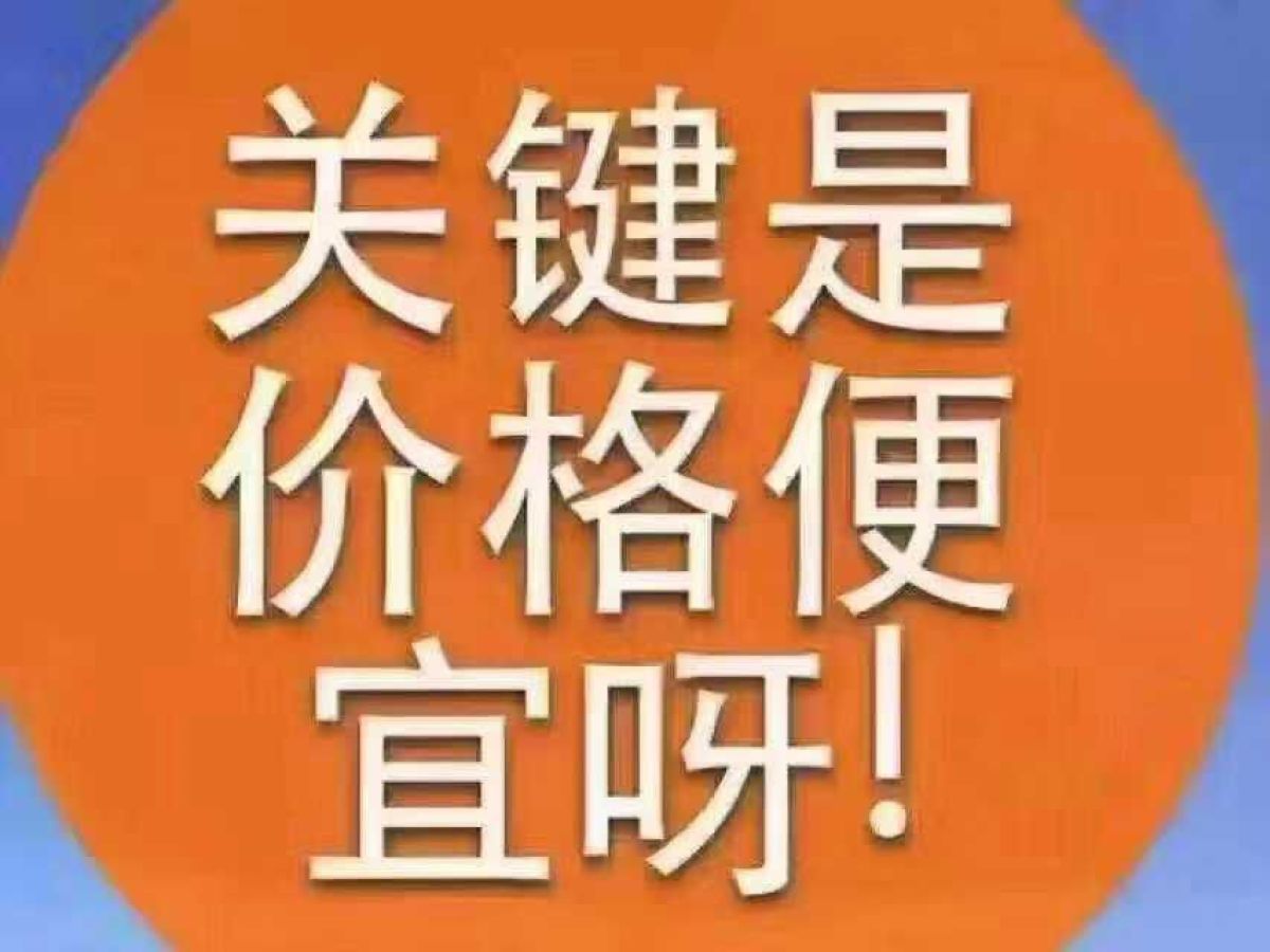 比亞迪 e5  2016款 300 尊貴型圖片
