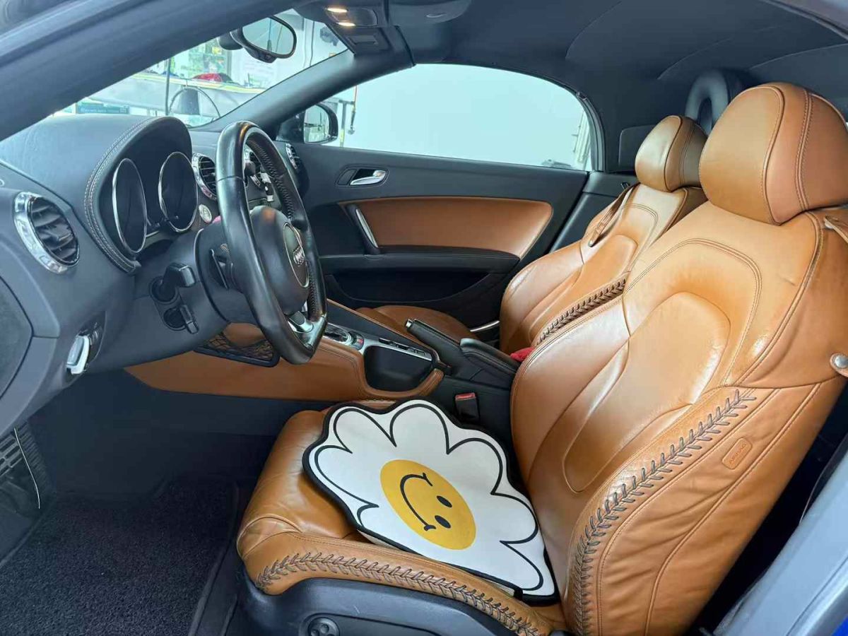 奧迪 奧迪TT  2013款 TT Roadster 45 TFSI圖片
