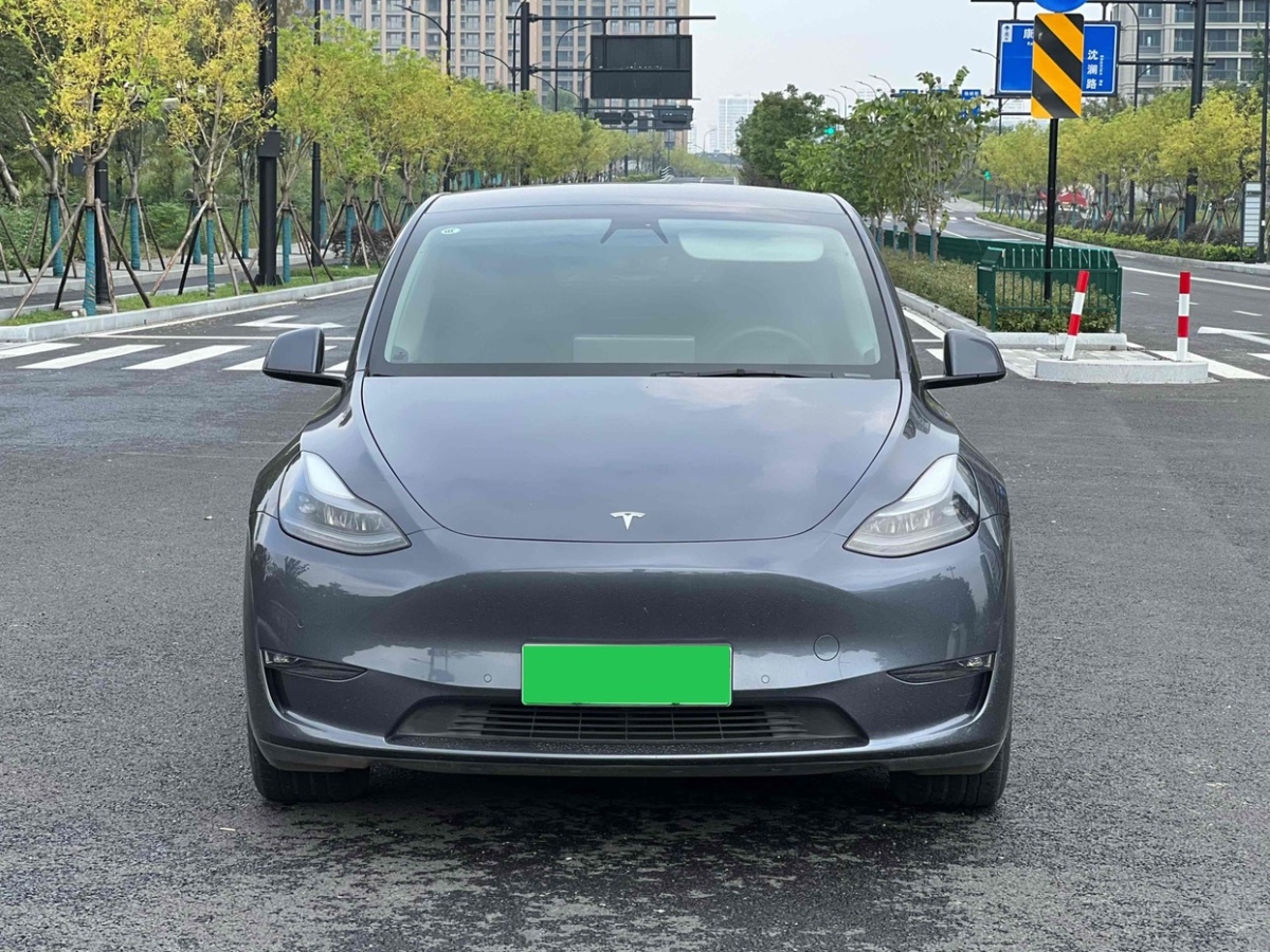 特斯拉 Model 3  2021款 標準續(xù)航后驅版圖片