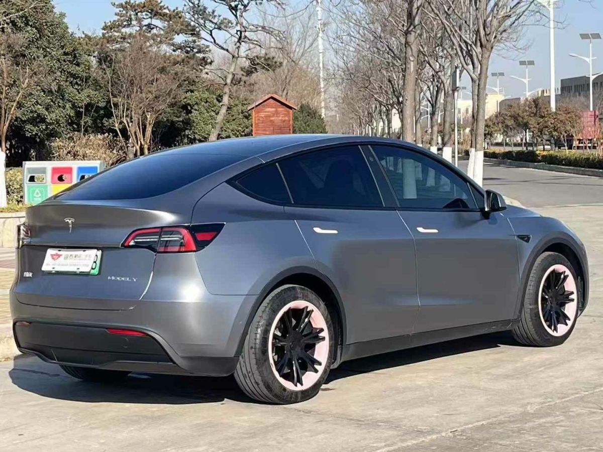 特斯拉 Model Y  2024款 Performance高性能版圖片