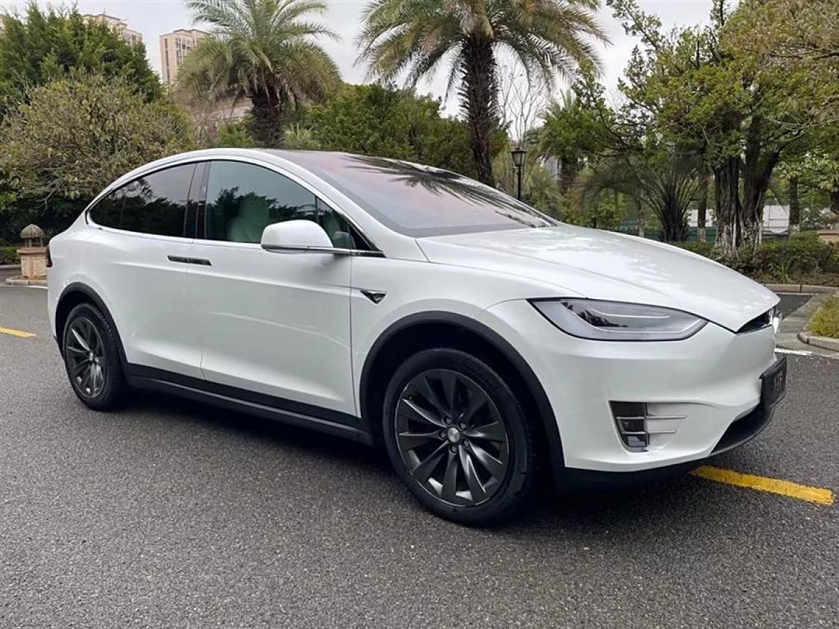 2020年10月特斯拉 Model X  2017款 Model X 100D 長續(xù)航版