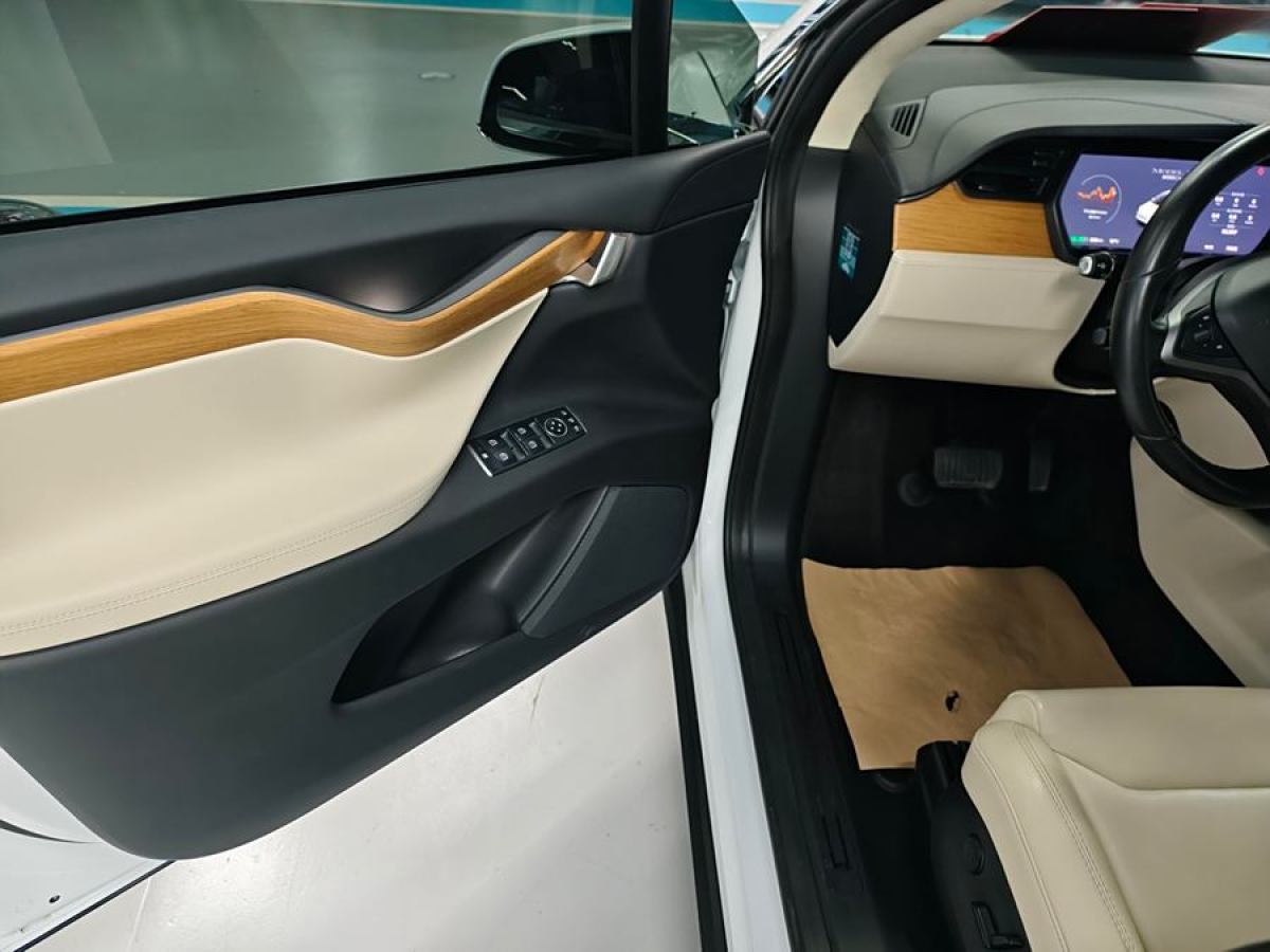 特斯拉 Model X  2019款 長續(xù)航版圖片