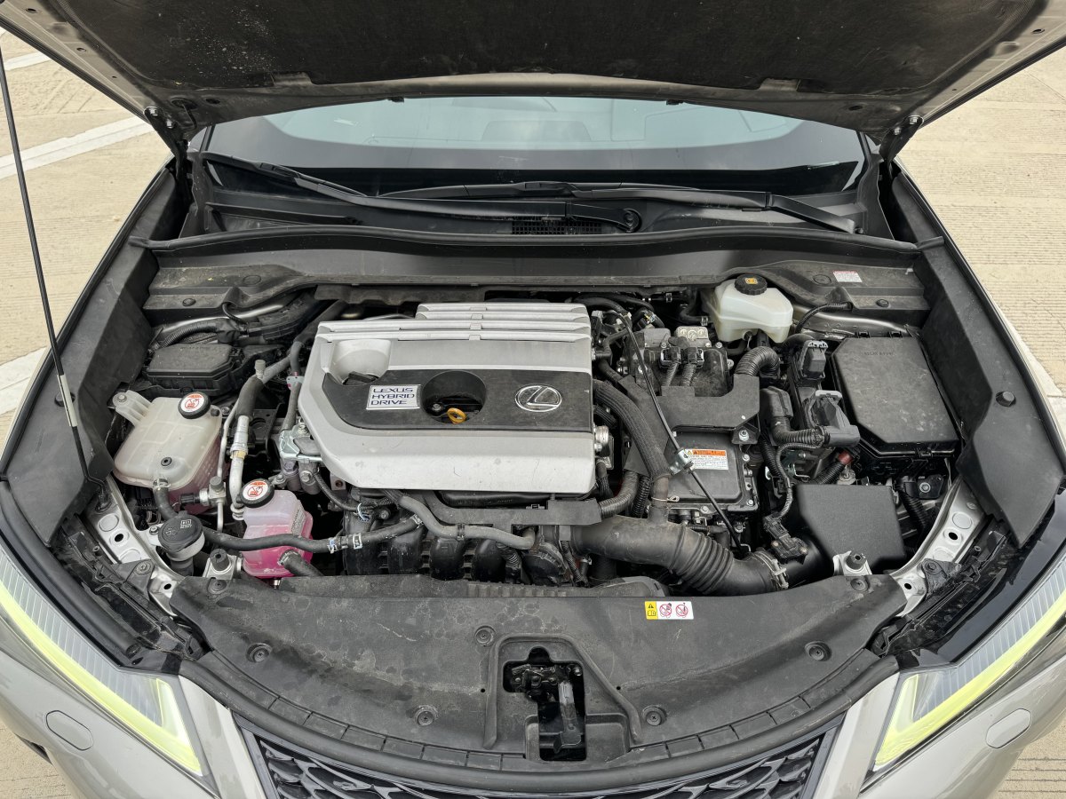 雷克薩斯 UX  2020款 260h F SPORT全驅(qū)版圖片