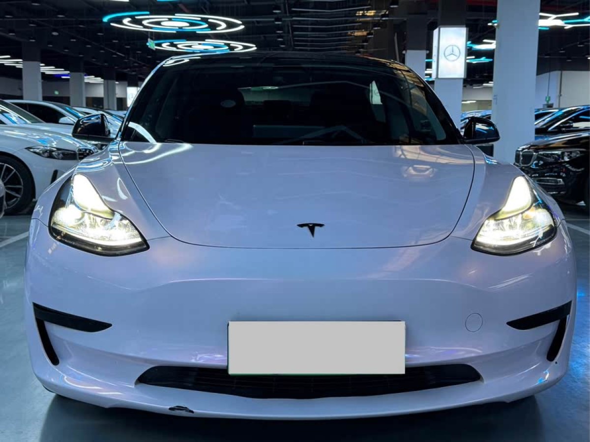 特斯拉 Model 3  2022款 后輪驅(qū)動版圖片