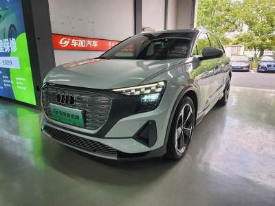 2023年4月 奥迪 奥迪Q5 e-tron 40 e-tron 星耀型 锦衣套装图片