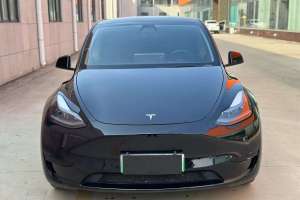 Model Y 特斯拉 后轮驱动版