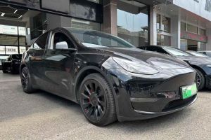 Model S 特斯拉 Performance 高性能版