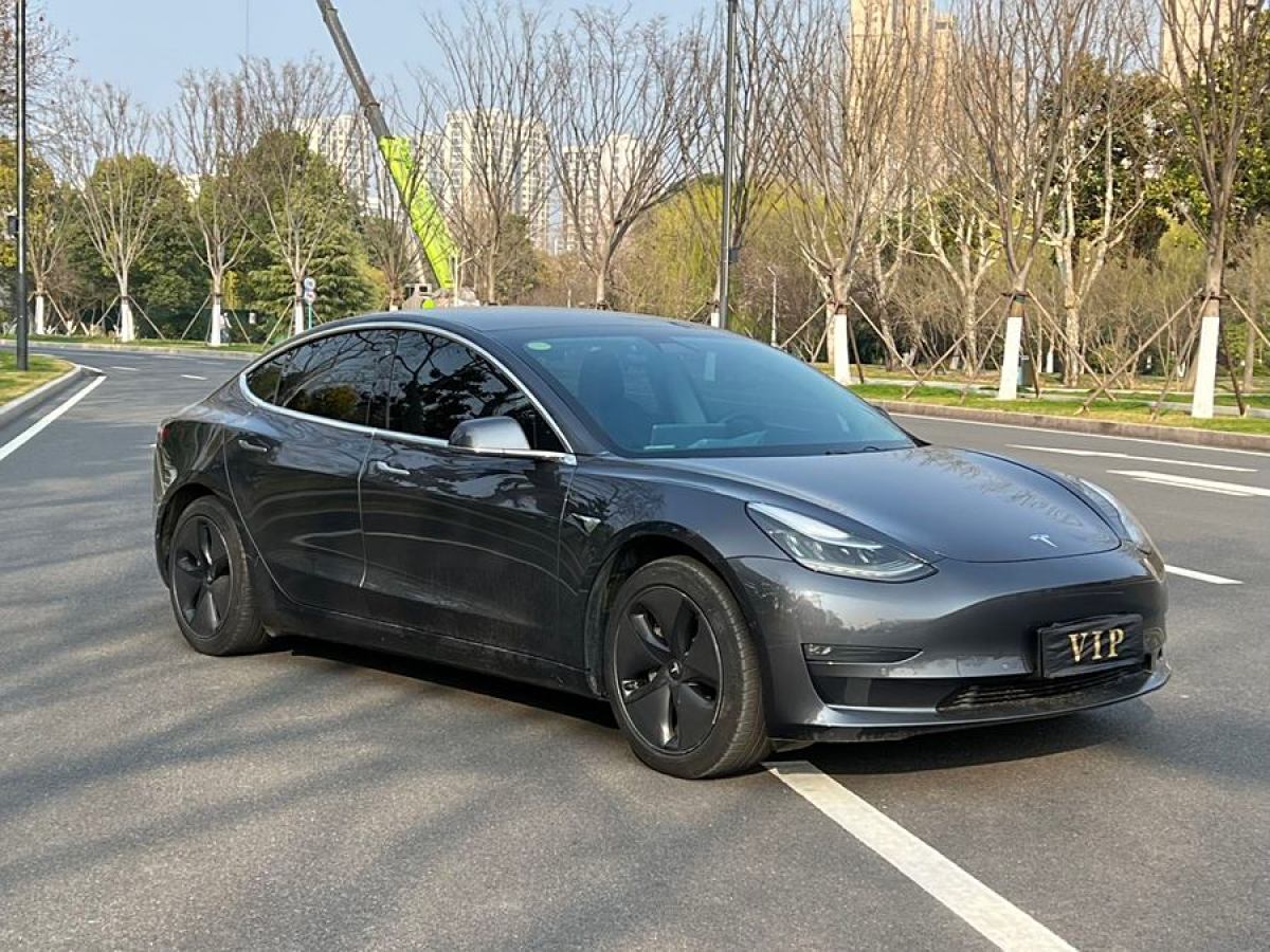 特斯拉 Model 3  2019款 長(zhǎng)續(xù)航后驅(qū)版圖片