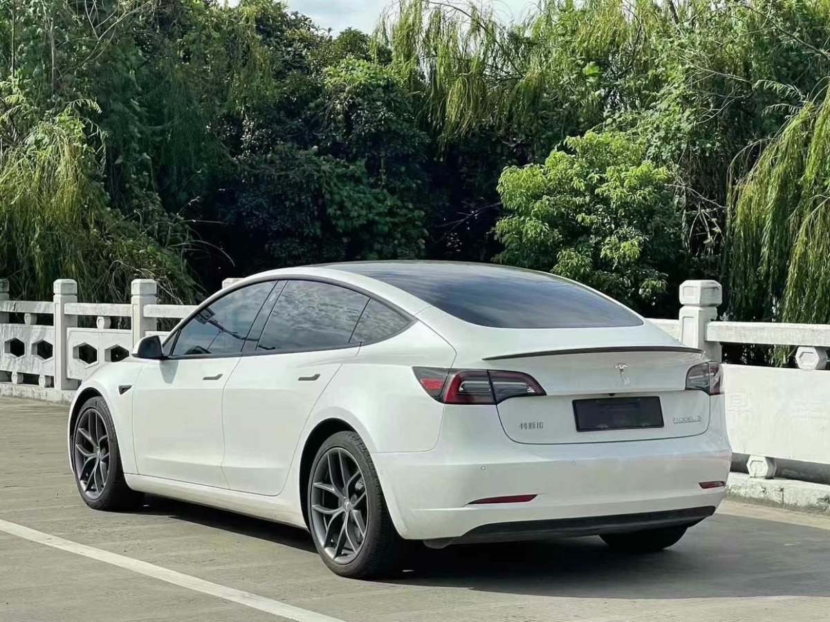 特斯拉 Model Y  2021款 Performance高性能全輪驅(qū)動(dòng)版 3D6圖片