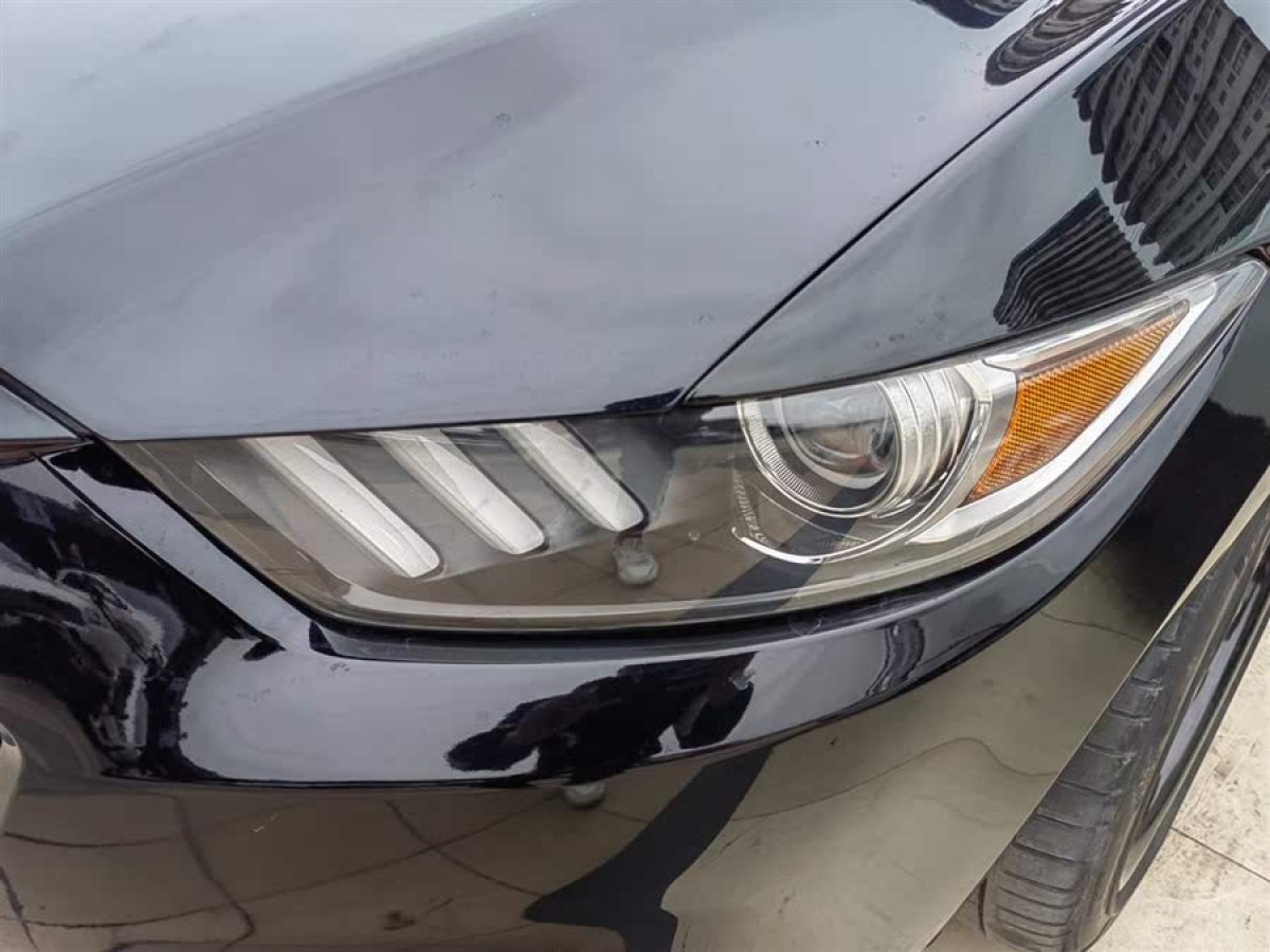 福特 Mustang  2015款 2.3T 性能版圖片