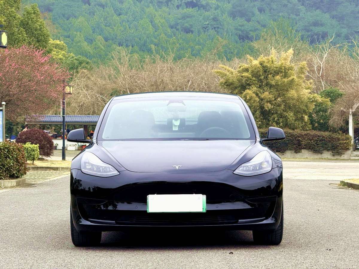 特斯拉 Model 3  2022款 后輪驅(qū)動版圖片