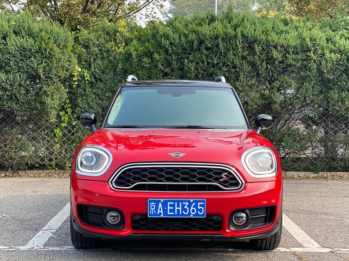 MINI COUNTRYMAN  2019款 2.0T COOPER S ALL4 藝術(shù)家圖片