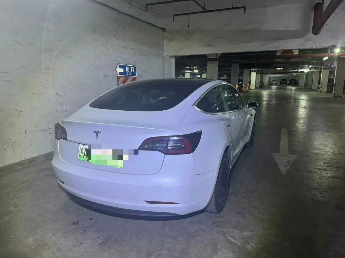 特斯拉 Model 3  2020款 標(biāo)準(zhǔn)續(xù)航后驅(qū)升級版圖片