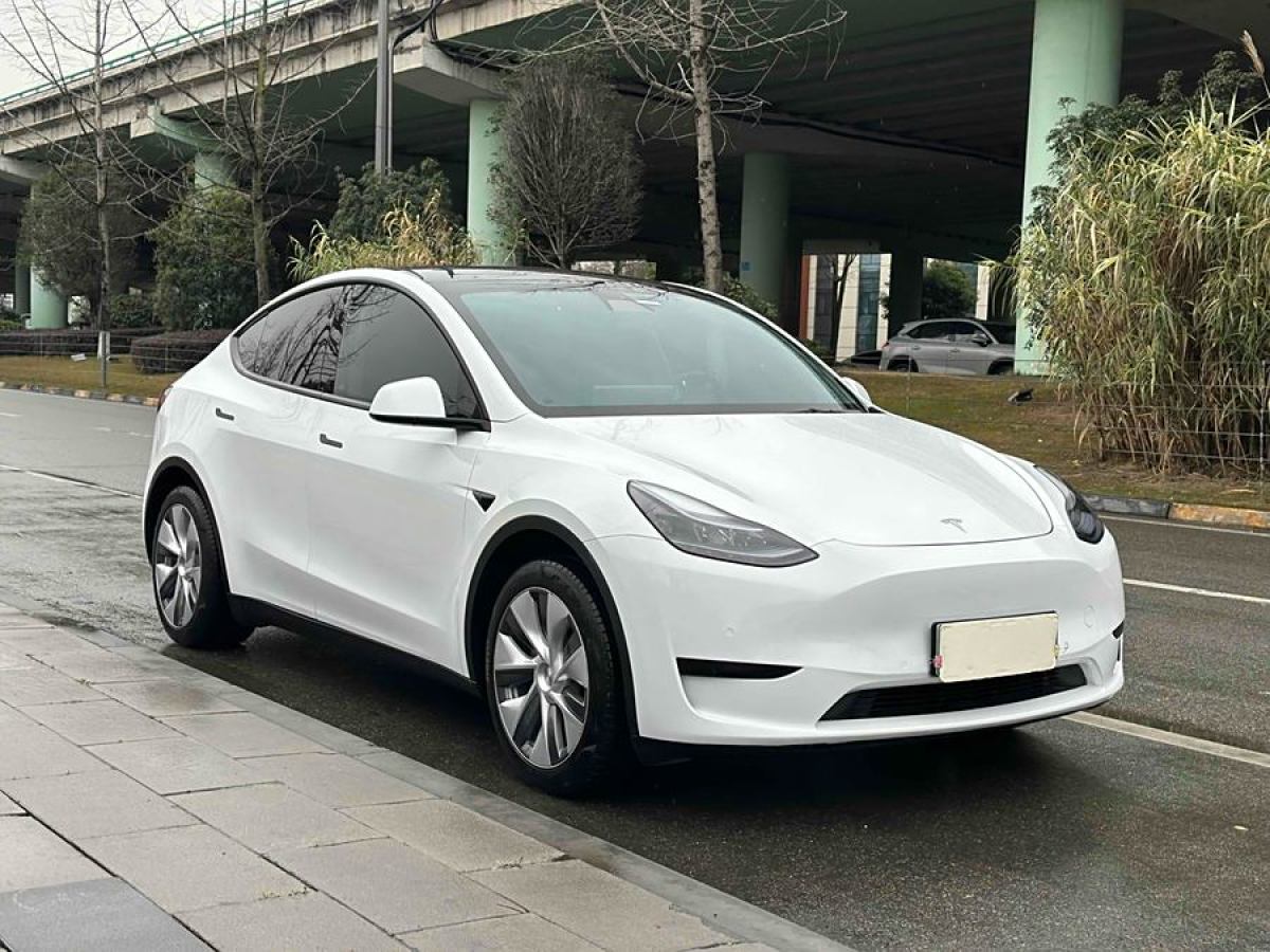 特斯拉 Model 3  2020款 改款 長續(xù)航后輪驅(qū)動版圖片