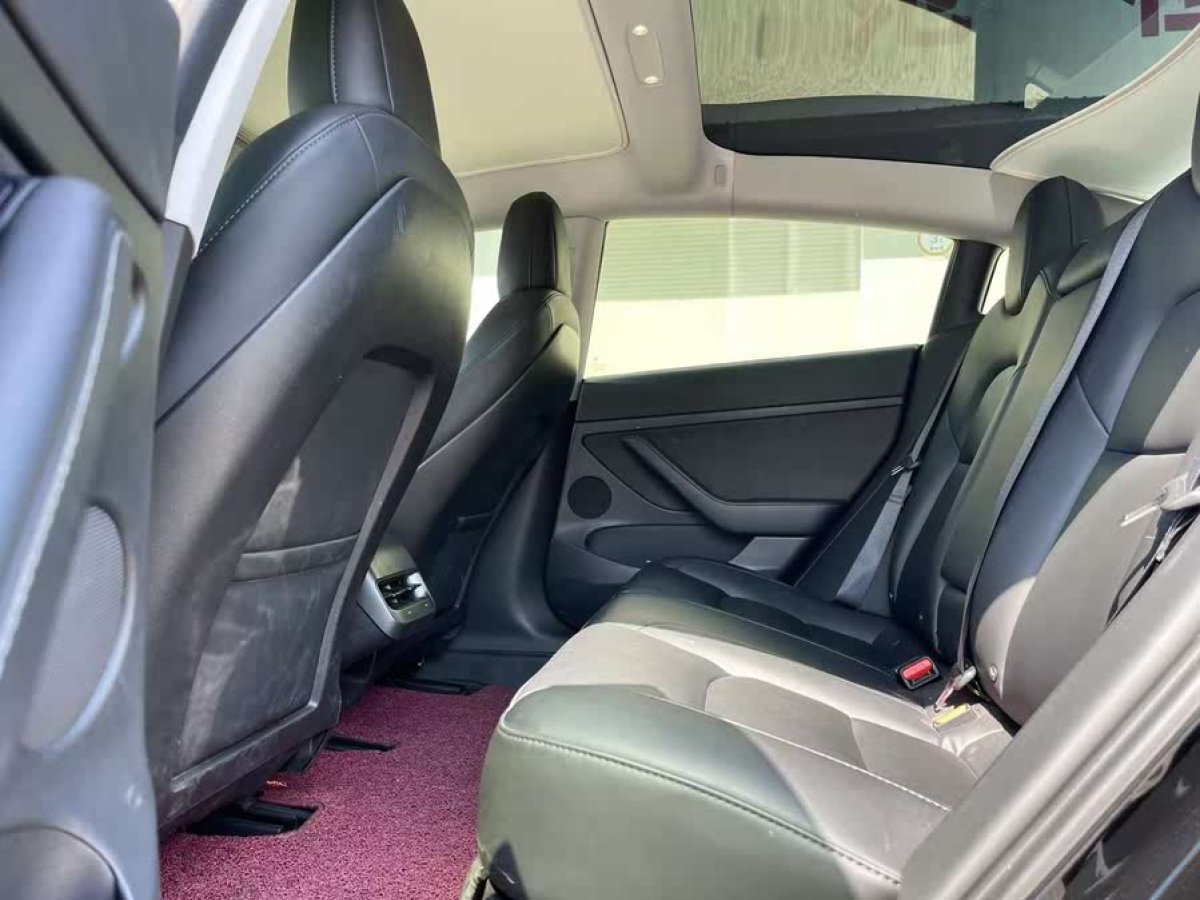特斯拉 Model 3  2022款 后輪驅(qū)動(dòng)版圖片