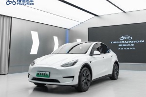 Model Y 特斯拉 后輪驅動版