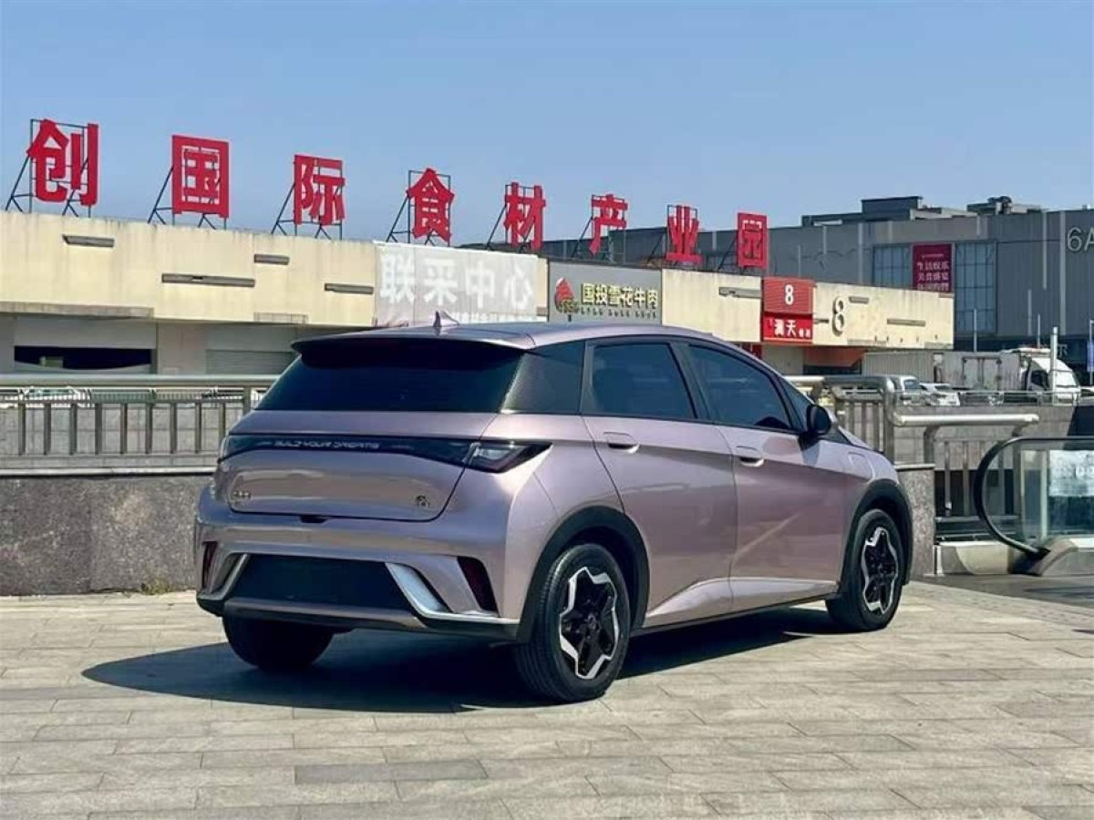 比亞迪 海豚  2021款 405km 時(shí)尚版圖片