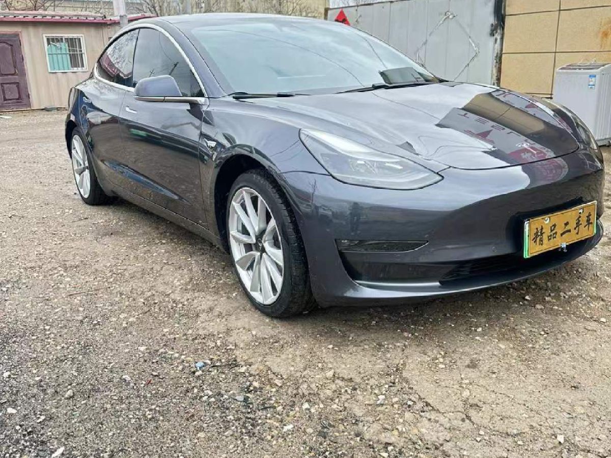 特斯拉 Model 3  2020款 Performance高性能全輪驅(qū)動(dòng)版圖片