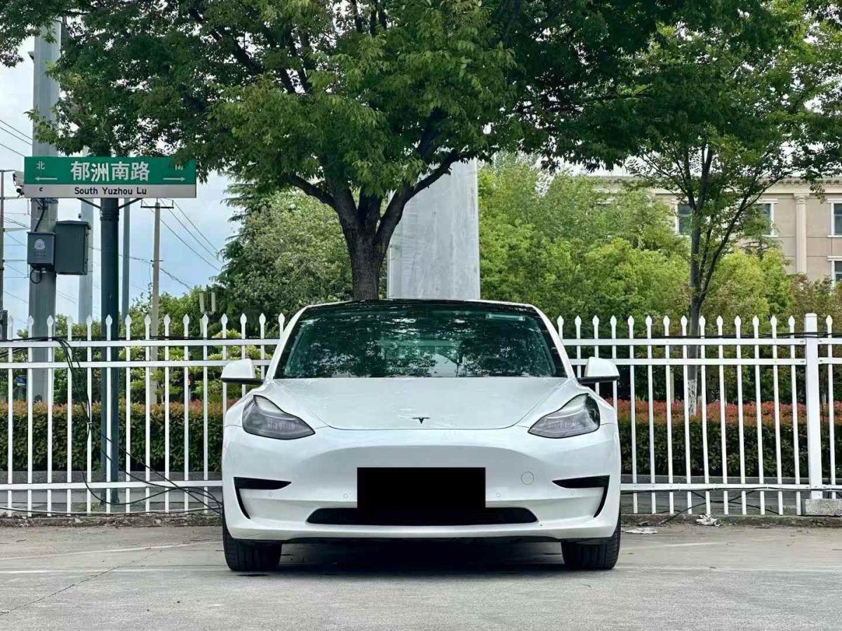特斯拉 Model Y  2021款 標準續(xù)航后驅(qū)版圖片