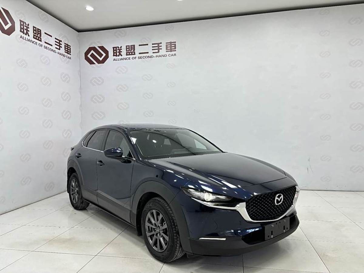 馬自達(dá) CX-30  2020款 2.0L 自動質(zhì)悅型圖片