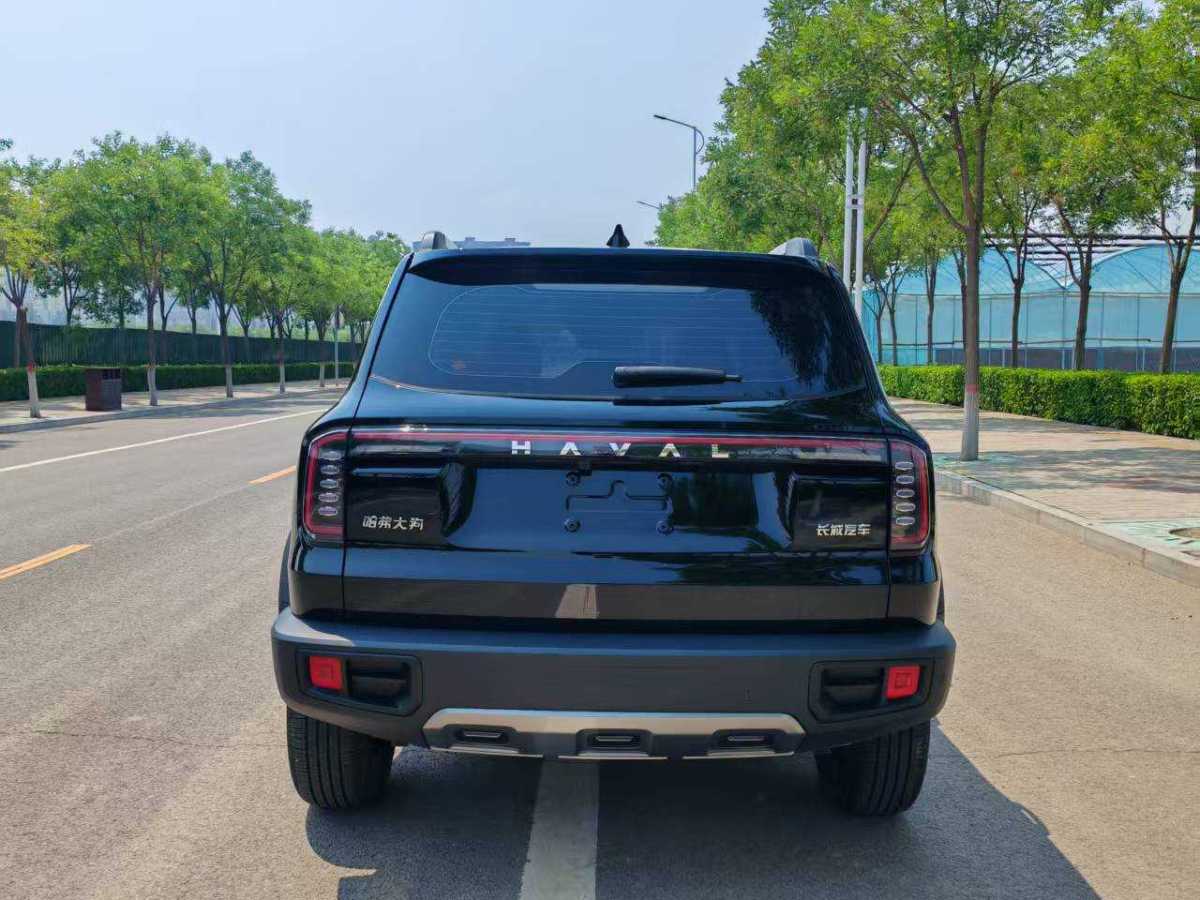 哈弗 哈弗大狗  2024款 1.5T DCT邊牧版圖片