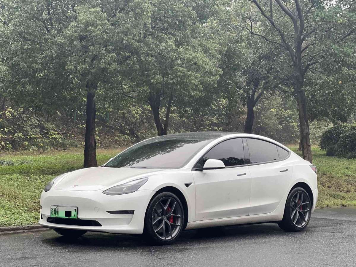 特斯拉 model 3 2021款 performance高性能全轮驱动版图片