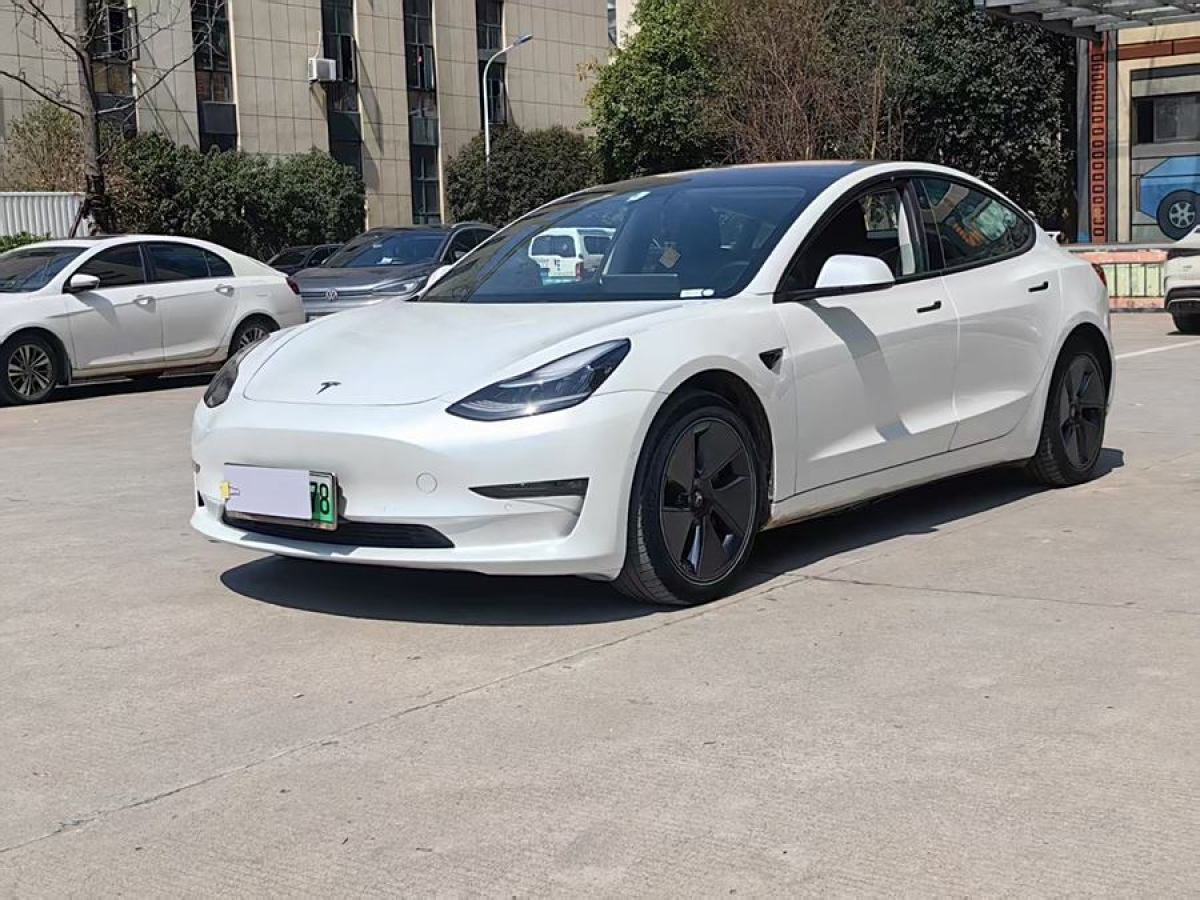 2019年4月特斯拉 Model 3  2019款 長續(xù)航全輪驅(qū)動版