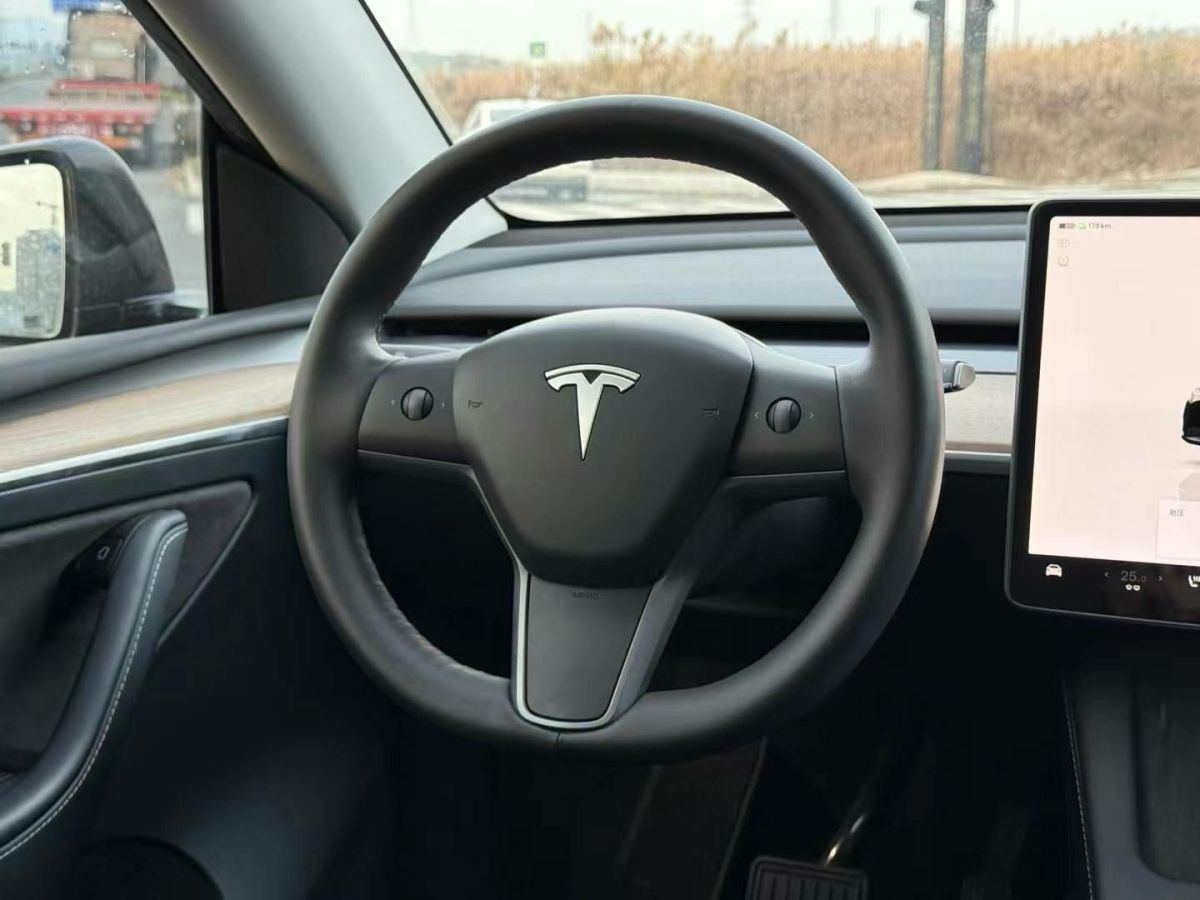 特斯拉 Model 3  2022款 Performance高性能全輪驅動版圖片