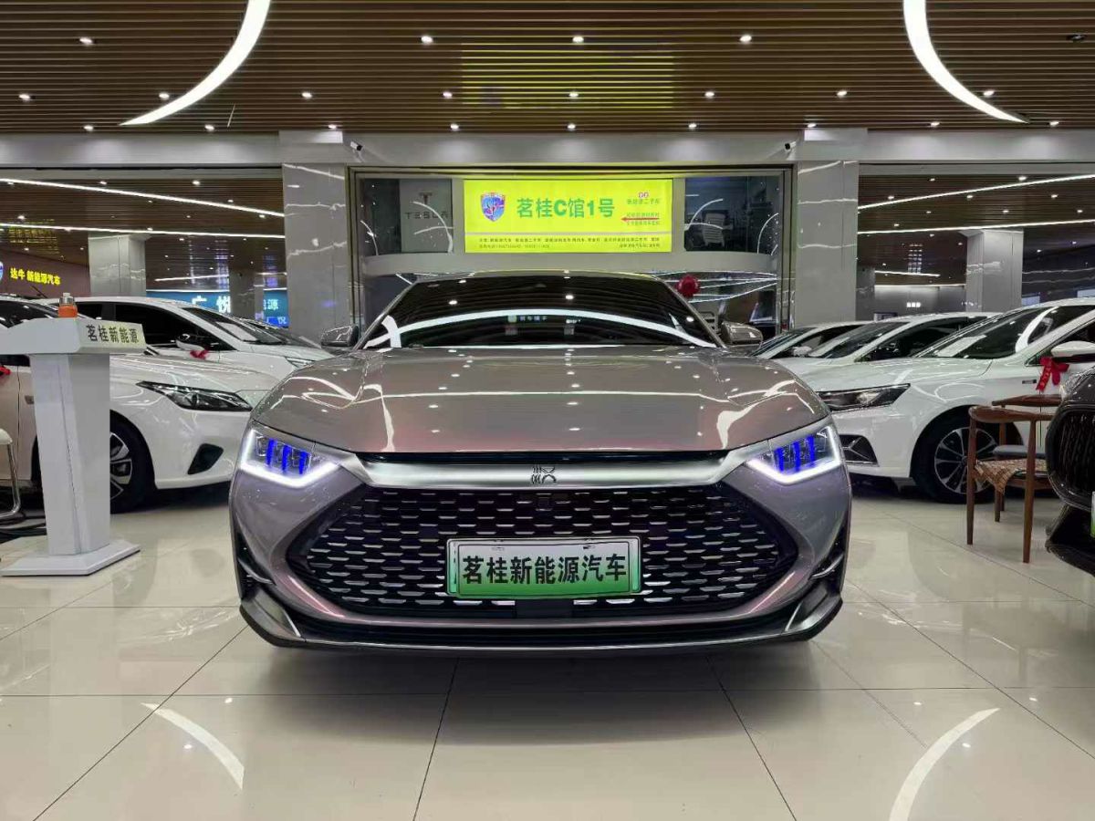 2021年6月比亞迪 漢  2021款 EV 標(biāo)準(zhǔn)續(xù)航版豪華型