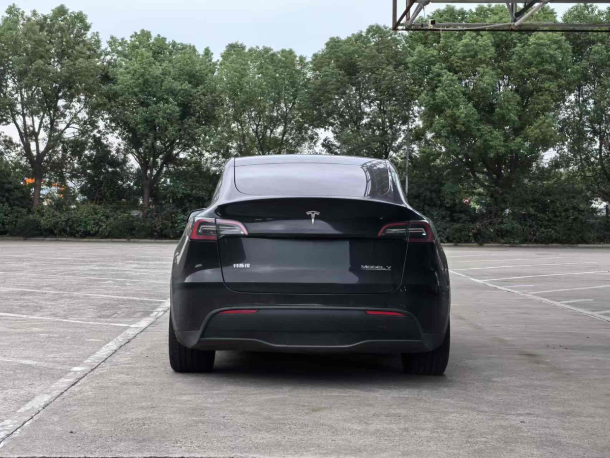 特斯拉 Model Y  2022款 Performance高性能全輪驅(qū)動版圖片