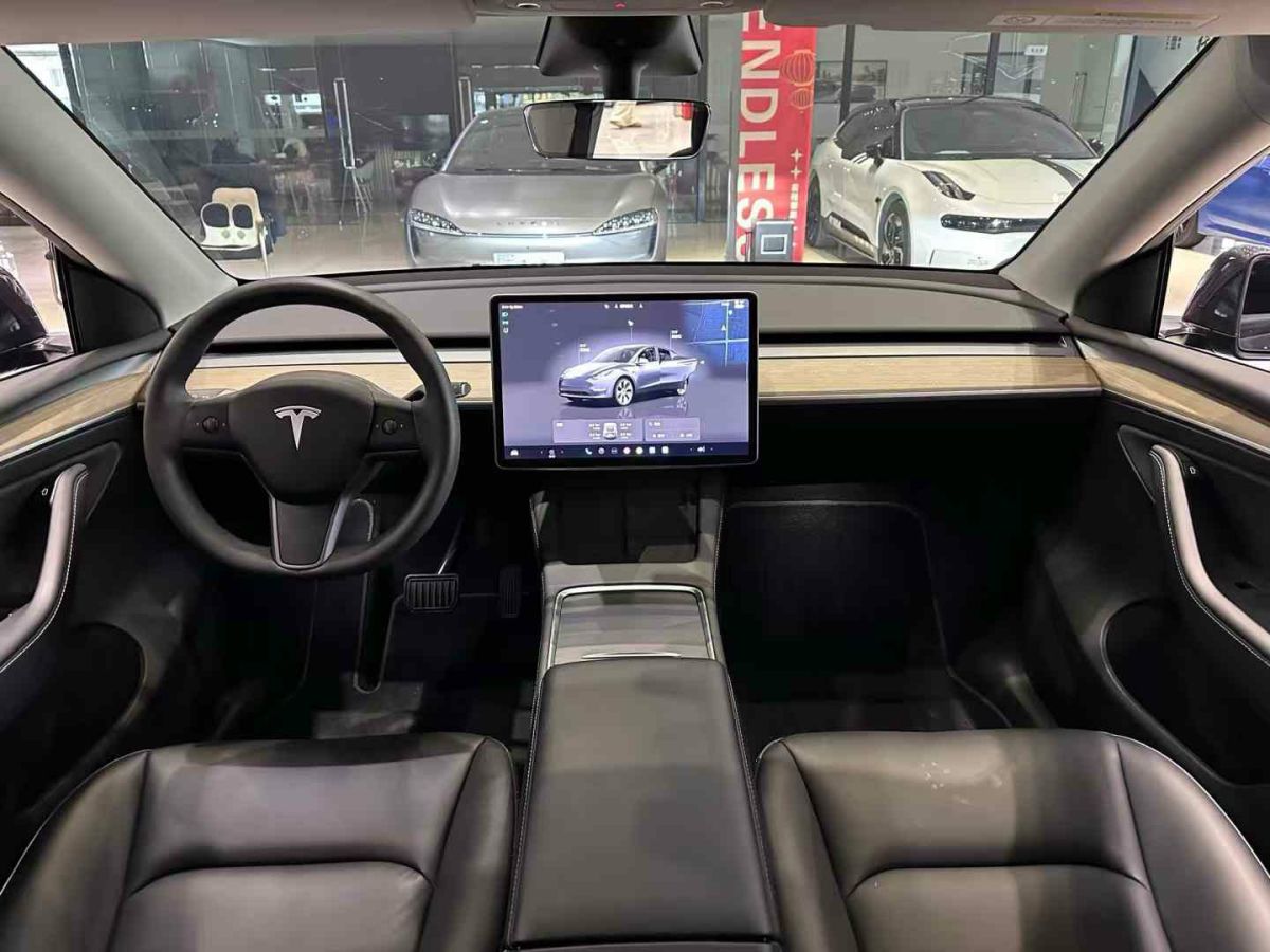 特斯拉 Model 3  2022款 Performance高性能全輪驅(qū)動版圖片