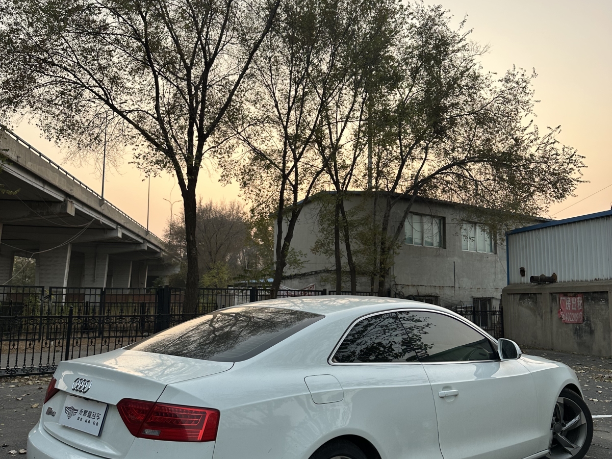 奥迪 奥迪A5  2008款 3.2 coupe quattro图片