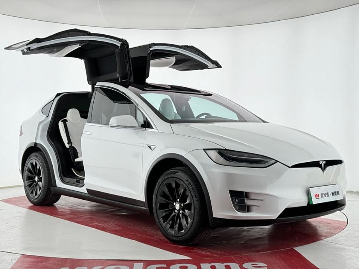 特斯拉 Model X  2019款 長(zhǎng)續(xù)航版圖片